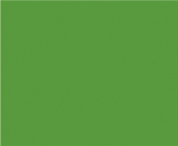FL matte green